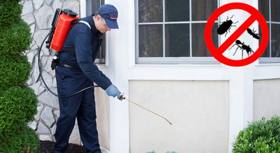 Ekinözü Hamam Böceği İlaçlama böcek ilaçlama ve haşere kontrolü — ilaclama-tr.com